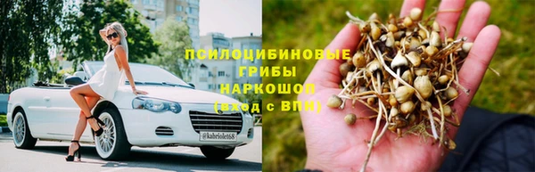 каннабис Магас